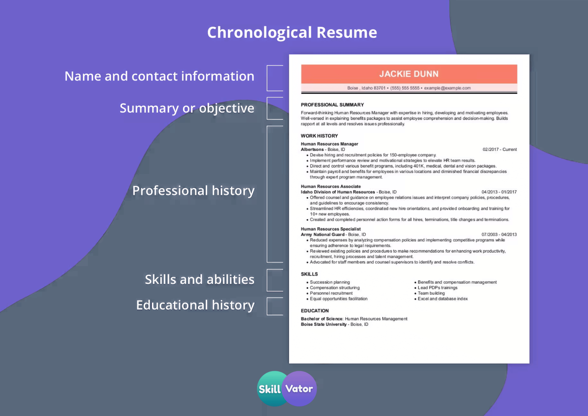chronological Resume examples